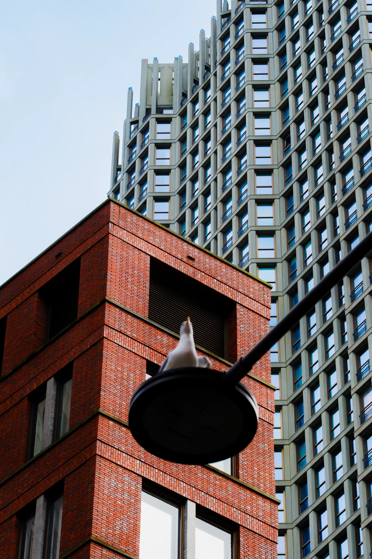 Den Haag